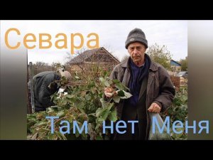 Севара - Там нет Меня (из К/ф «Чебурашка», памяти Моему Дедушке посвящается)