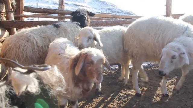 Более 41 миллиарда рублей на агропромышленный комплекс