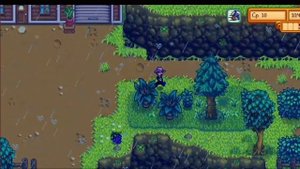 Как попасть в хижину ведьмы в Stardew Valley