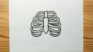 How to draw HUMAN RIB BONE easy