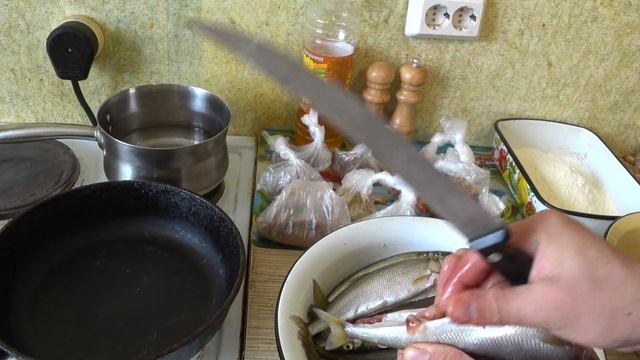 ВЕСЕННЯЯ РЫБАЛКА НА КОРЮШКУ! ЗУБАТКА.ЗУБАРЬ. КАК Я ЛОВЛЮ,КАК ГОТОВЛЮ.