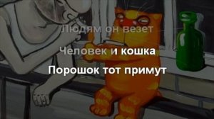 караоке человек и кошка