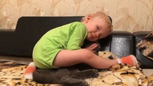 Ребенок делает коту тайский массаж!