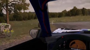 Reverse 180 in DiRT Rally