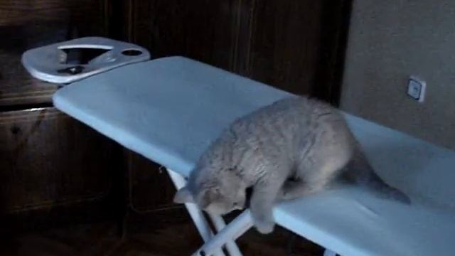 Леонард и гладильная доска смотреть онлайн