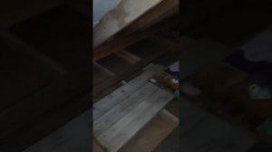 Утепление монсарды