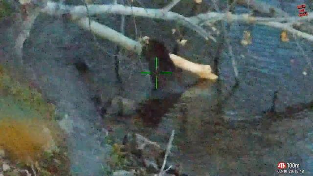 ОХОТА НА БОБРА/HUNTING FOR BEAVER/ATN X-Sight 4K PRO/ Лучший прицел в своём классе. смотреть онлайн