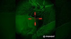 Прицел цифровой Yukon Sightline N455. Универсальные прицелы ночного видения Sightline.