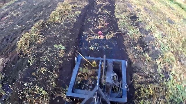 копка картофеля самодельной электрокопалкой