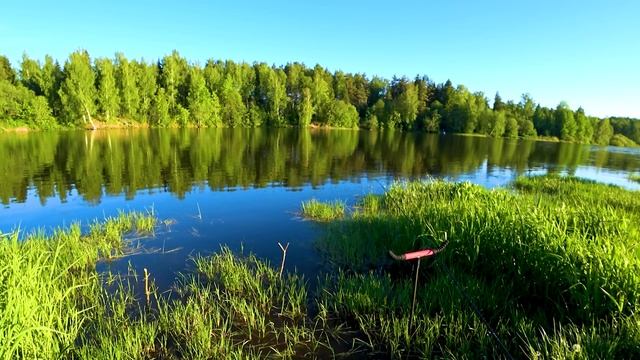 Расслабляющие Звуки Природы И Пение Птиц Для Спокойного Сна 10 Часов. Душевное Здоровье От Природы.