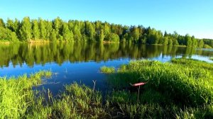 Расслабляющие Звуки Природы И Пение Птиц Для Спокойного Сна 10 Часов. Душевное Здоровье От Природы.