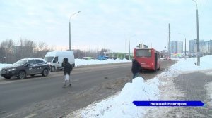 Водитель автобуса сбил насмерть собаку и скрылся с места ДТП в Нижнем Новгороде