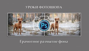 Грамотное размытие фона в фотошопе.