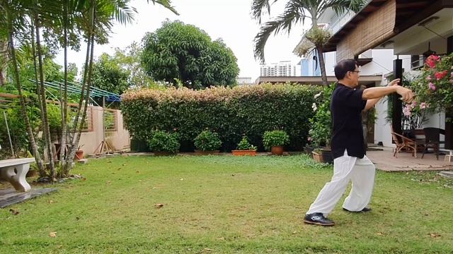 郑曼青郑子太极拳。 Cheng-Man-Ching 37-Style Tai Chi。#郑子太极拳37式。#郑子拳。 смотреть онлайн