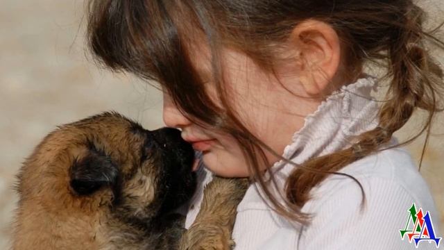 ДВОРНЯГА 9. «Не смей его трогать! Мы его просто кормим, а к себе взять не можем» смотреть онлайн