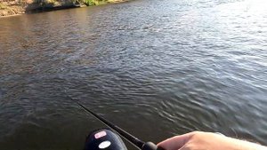 Breaden Glamour Rock Fish GRF-TR85 PE special Houri-Island тест на Волге.