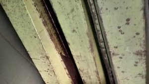 Зерноуборочный комбайн CLAAS DOMINATOR MEGA 204 экспресс-обзор от Михаила Рудеева