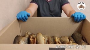 Щепа для копчения?. #щепа #рыба