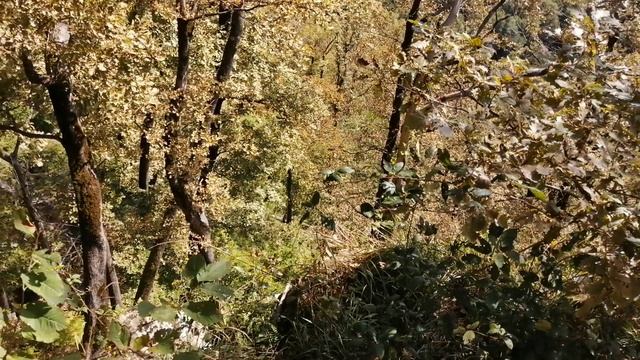 Долгая и запутанная прогулка в Берендеево царство. Это Сочи, Лазаревское. смотреть онлайн