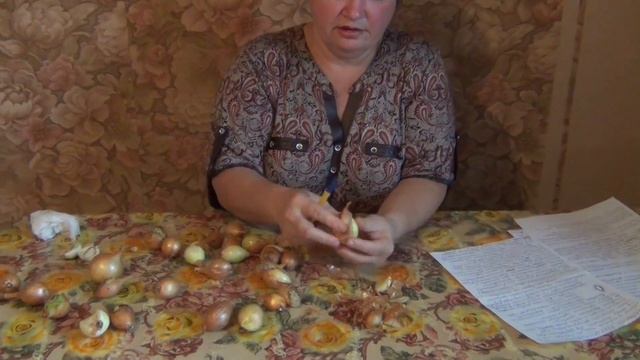 Болезни лука Шалот и предупреждение заражения смотреть онлайн