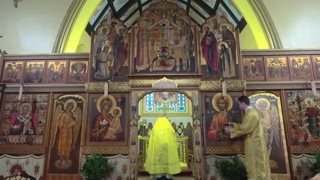 Неделя 3-я по Пятидесятнице.  Собор Санкт-Петербургских святых. Божественная Литургия (25.06.2023) смотреть онлайн