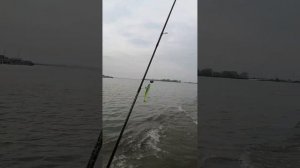 село Ловцы на Неман 400dc