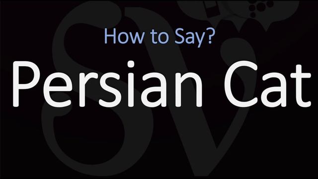 How to Pronounce Persian Cat? (CORRECTLY) смотреть онлайн