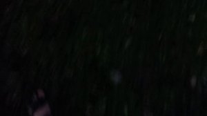 страшная история.