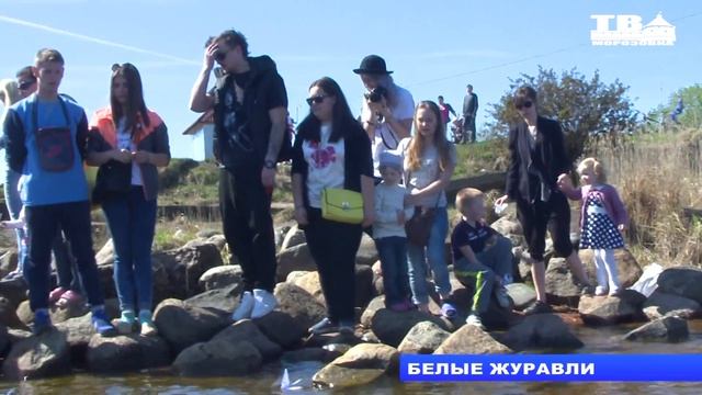 Акция Белые Журавли смотреть онлайн