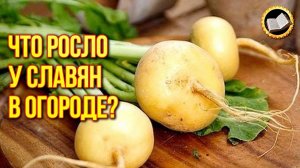 Что ели древние Русы? Что росло у славян в огороде?