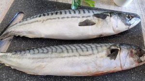 Божественная СКУМБРИЯ! Язык можно проглотить,как ВКУСНО!