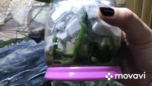 Монстера Альба. Пересадка в керамзит и мох. Почему именно в такой грунт?