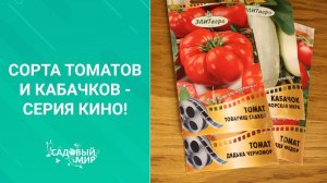 Сорта томатов и кабачков - серия кино!