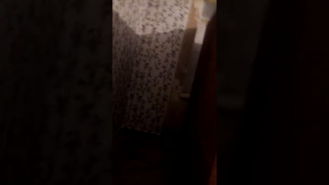 Как нужно клеить обои в деревни. смотреть онлайн