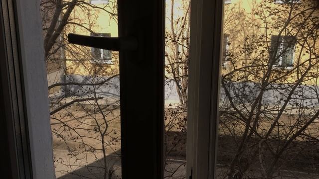 прям сейчас))))