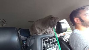 Автопутешествие из Красноярска в Москву // 1 часть, Кемерово