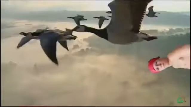 Я ВЗЯЛ ТВОЮ БУ (ПАРОДИИ ШКОЛЬНИКОВ) смотреть онлайн