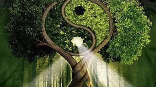 Медитация Исцеление отношений с Отцом смотреть онлайн