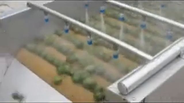 Мойка фруктов и овощей с деликатной кожурой Вега ШР 350