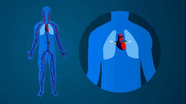 BENEFICIOS Medicinales Del TE De LECHUGA ROMANA Características? COMO Preparar Te De LECHUGA ROMANA смотреть онлайн