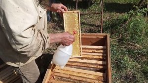 Как  и  сколько   я    ставлю   магазинных  рамок  на   35мм.