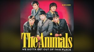 The Animals - We gotta get out of this place (Dj ray-g remix)