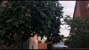 Гостевой Дом Розалия - великолепный отель у моря!