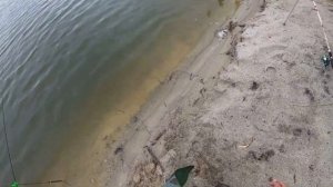 Ловля карася и сазана. Рыбалка в Амурской области. Прядчино.