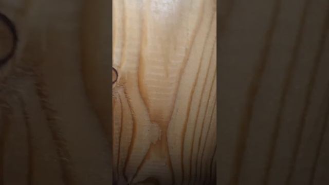 #steico #flex #steicoflex #калининград #перегородка #звукоизоляция #фибролит39 смотреть онлайн