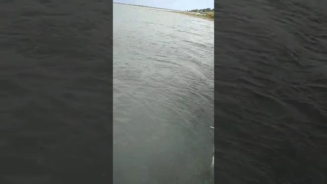 рыбалка алаколь