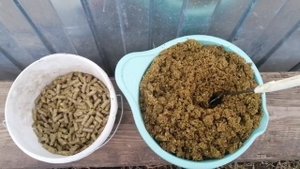 ТРАВЯНАЯ ГРАНУЛА ЗИМОЙ ДЛЯ КУР И КОЗ, КАК ПРАВИЛЬНО ЕЕ ДАВАТЬ // НОЯБРЬ 2021 Г// С.Х.У