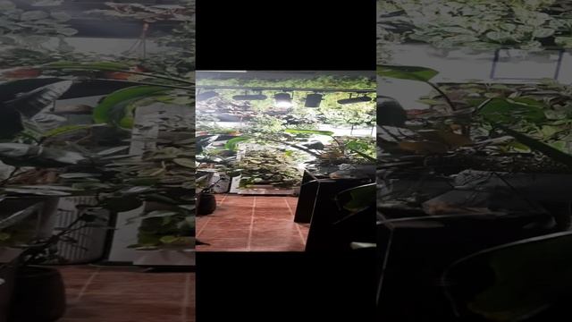Такая спальня - мечта любой квартиры или частного дома, и ненужен супер ремонт с отделкой