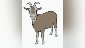 ЗАПИСКИ КОЗЫ