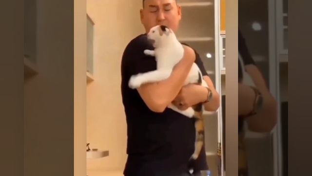 КОТИКИ?⬛?⬛?⬛